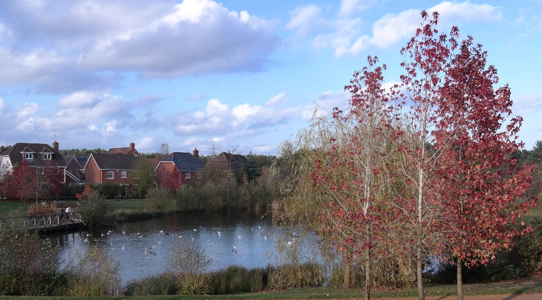 Elvetham Heath pond